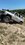 IMG_7925.jpeg
