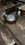 IMG_8074.jpeg