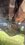 IMG_8081.jpeg