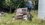 IMG_9186.jpeg