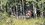 IMG_9187.jpeg