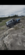 IMG_8200.png
