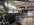 IMG_0463.jpeg