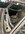 IMG_0471.jpeg