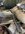 IMG_0472.jpeg