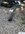 IMG_5948.jpeg