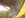 DSC07215.JPG