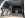 DSCN1997.JPG
