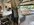IMG_3166.jpeg