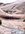IMG_7599.jpeg