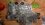 IMG_20250906_174710331~3.jpg