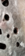 Screenshot_20250906-211952.png