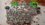 IMG_20250906_174845341~3.jpg