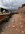IMG_1353.jpeg