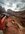 IMG_1344.jpeg