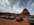 IMG_1339.jpeg
