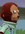 1757310476435.gif