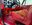 IMG_3378.jpeg