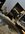 IMG_2242.jpeg