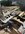 IMG_2259.jpeg