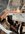 IMG_2261.jpeg