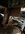 IMG_2262.jpeg