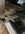 IMG_2283.jpeg