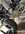IMG_2298.jpeg