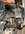 IMG_2310.jpeg