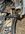 IMG_2311.jpeg