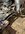 IMG_2312.jpeg