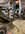 IMG_2314.jpeg