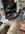 IMG_2320.jpeg