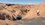 IMG_1922 (1).jpeg