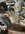 IMG_2297.jpeg