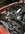 IMG_0443.jpeg