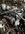 IMG_0463.jpeg