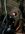 IMG_0498.jpeg