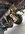IMG_1392.jpeg