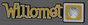 1_4_willomet_starburst_custom.jpg