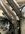 IMG_0494.jpeg