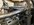 IMG_0495.jpeg