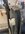 IMG_0500.jpeg