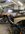 IMG_0507.jpeg