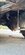 IMG_3477.jpeg