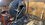 IMG_0885.jpeg