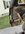 IMG_2338.jpeg
