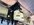 IMG_3381.jpeg