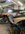 IMG_0507.jpeg