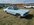 IMG_3550.jpeg